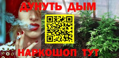 тгк Обь
