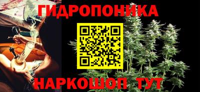 тгк Обь