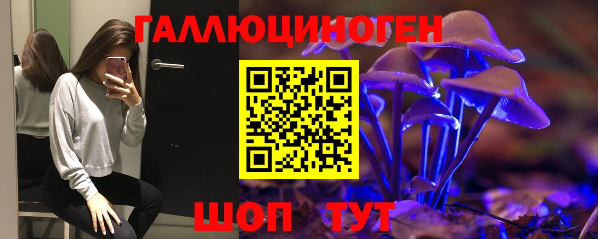 Псилоцибиновые грибы MAGIC MUSHROOMS  Псилоцибиновые грибы мухоморы  Вход с VPN  купить наркоту  Тамбов 