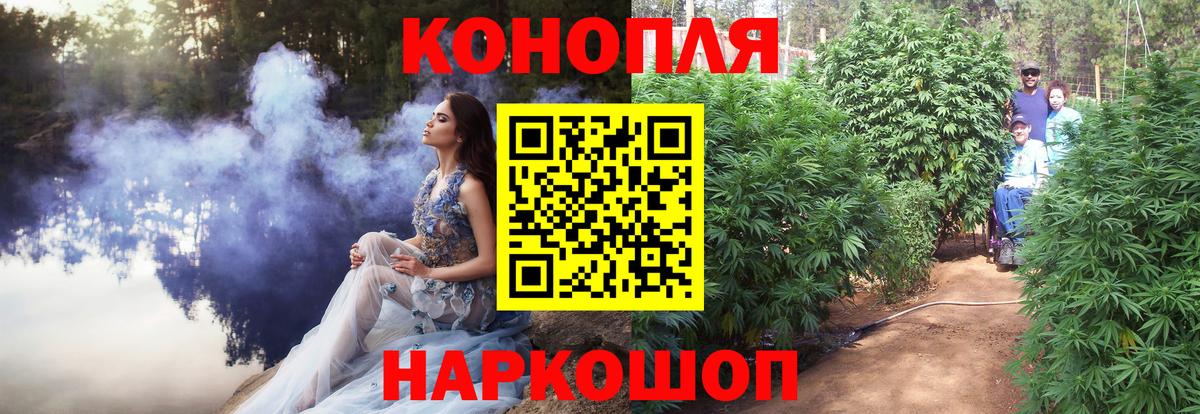 Канабис планчик  Шишки марихуана конопля  Бошки Шишки сатива  Тамбов  Вход с VPN 